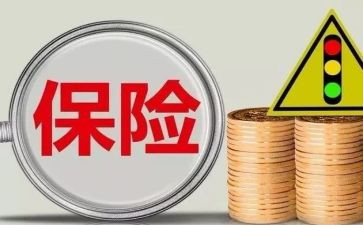 保险公司的工作总结范文优秀7篇