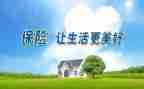 保险客服的工作总结最新8篇