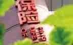 保险公司转正工作总结8篇