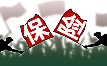 保险业务员的工作总结参考5篇