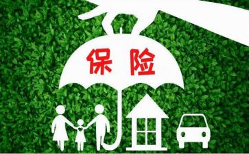 2024年保险业务员工作总结参考5篇