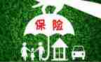2024年保险业务员工作总结参考5篇