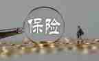 2024年保险业务员工作总结8篇