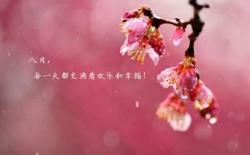 八月份的工作计划总结6篇
