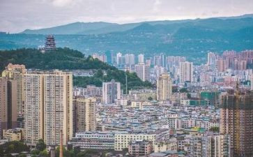 动物的尾巴中班科学教案6篇