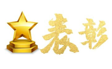 表彰优秀员工发言稿范文5篇