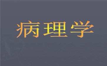 病理科半年度的工作总结7篇