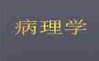病理科半年度的工作总结7篇