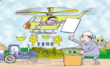补贴资金自查报告8篇