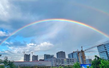 彩虹蛋的读后感8篇