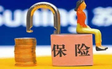 财险述职报告7篇