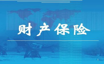 财险公司2024年工作总结7篇