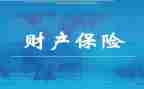财险公司2024年工作总结7篇