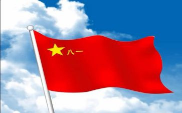 981读后感300字最新7篇