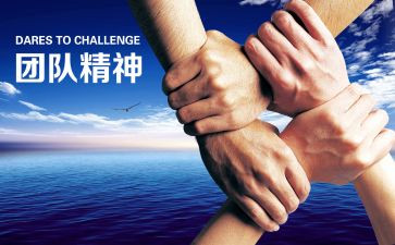 毕业会策划活动方案精选7篇