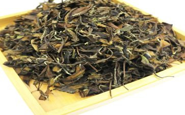 茶活动致辞稿优秀5篇