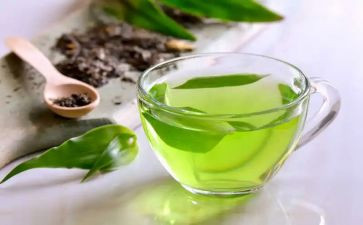 茶心得体会500字优秀7篇