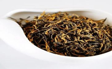 茶经心得体会300字精选7篇