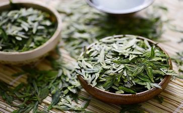 茶经心得体会300字7篇