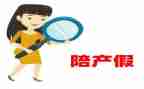 男产假申请书模板最新6篇