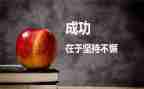 我收获了成功作文400字7篇