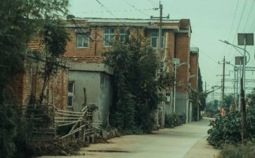 城南旧事,心得体会模板6篇