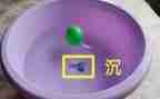沉与浮的实验作文7篇