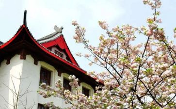 川大本科毕业生自我鉴定5篇
