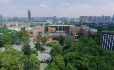 川大网络教育毕业自我鉴定参考8篇