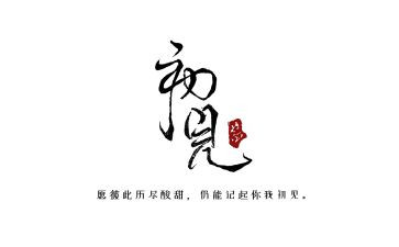 初见的作文600字5篇
