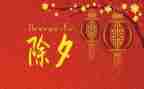 我在除夕作文优质5篇