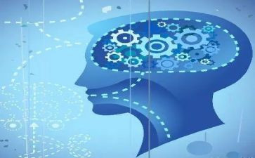 聪明的乌龟大班语言教案最新6篇