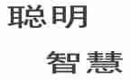 聪明的乌龟大班语言教案6篇
