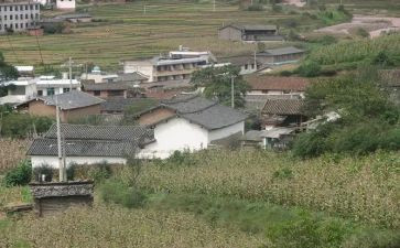 农村商业银行工作总结7篇