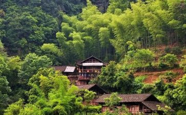 2023年度农村工作计划5篇