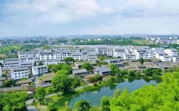 村半年度工作总结最新8篇