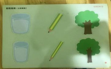 中班数学比较粗细教案6篇