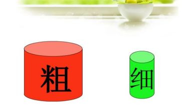 比较粗细教案中班教案6篇