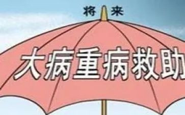 重大病救助申请书7篇