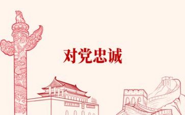 党心得体会300字作文通用5篇