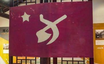 党员半年度工作总结7篇