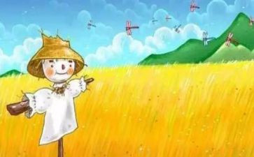 读后感稻草人读后感参考6篇