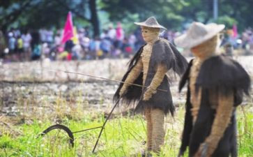 读后感稻草人读后感5篇