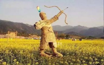 读后感稻草人读后感优秀8篇