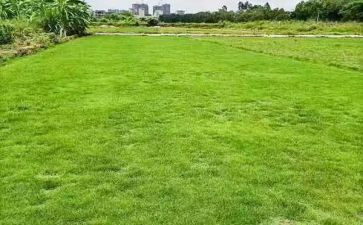 监理工地工作计划5篇