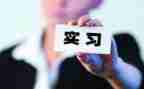 顶岗学生自我鉴定精选7篇