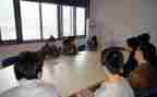 顶岗实习鉴定自我鉴定最新7篇