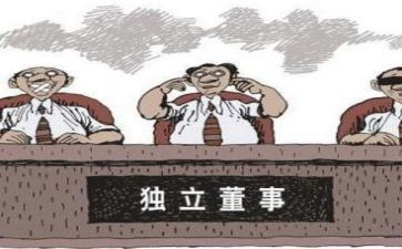 外部董事年度述职报告5篇