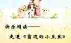 小豆豆书的读后感优质8篇