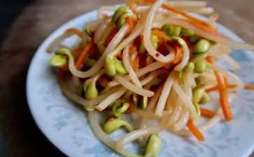 做豆芽的作文模板5篇